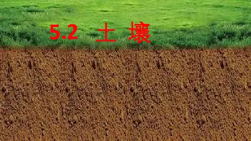 人教版新课标高中地理必修一5.2土壤课件