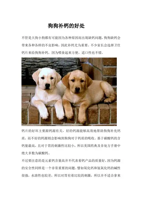 狗狗补钙的好处