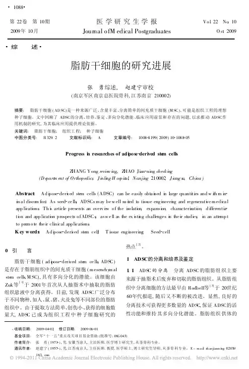 脂肪干细胞的研究进展
