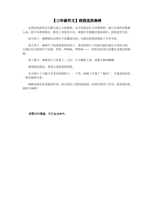 【三年级作文】校园里的杨树