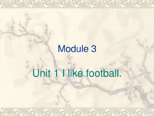 微课I like football.ppt
