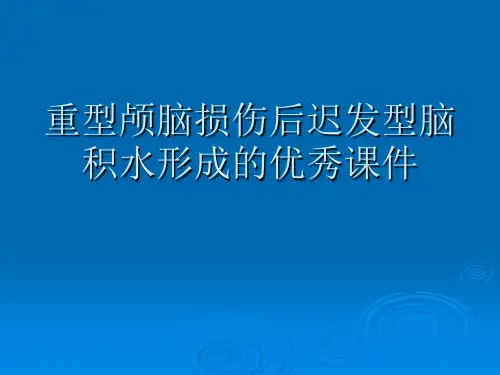 重型颅脑损伤后迟发型脑积水形成的优秀课件