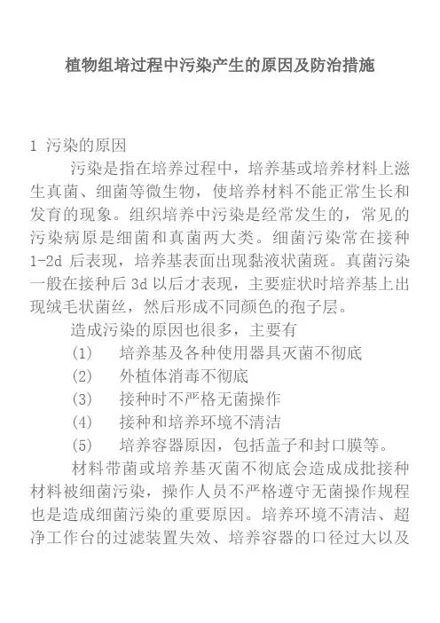 植物组培过程中污染产生的原因及防治措施