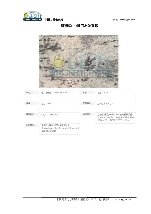 蓝捷豹 中国石材物联网