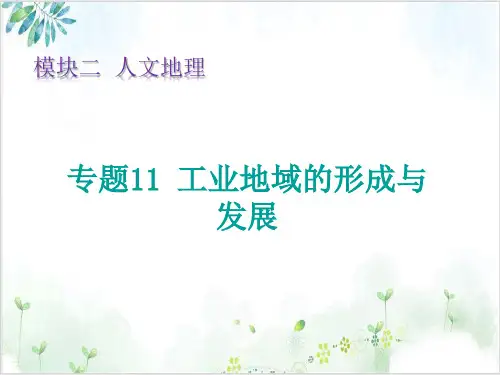 新高考版地理复习PPT课件-专题工业地域的形成与发展优质课件