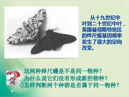 人教版生物必修二现代生物进化理论的内容课件
