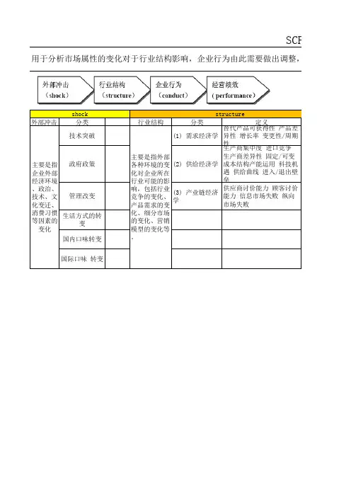 SCP动态分析模型