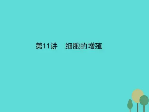 高考生物一轮复习-第4单元 细胞的生命历程 第11讲 细胞的增殖课件