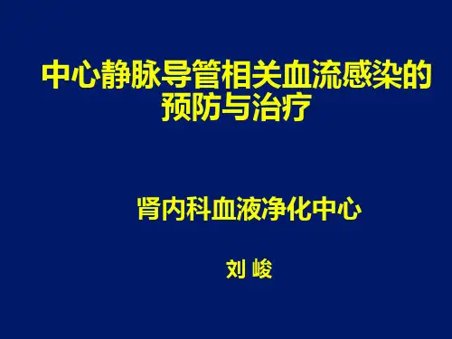 中心静脉导管相关血流感染的预防与治疗策略