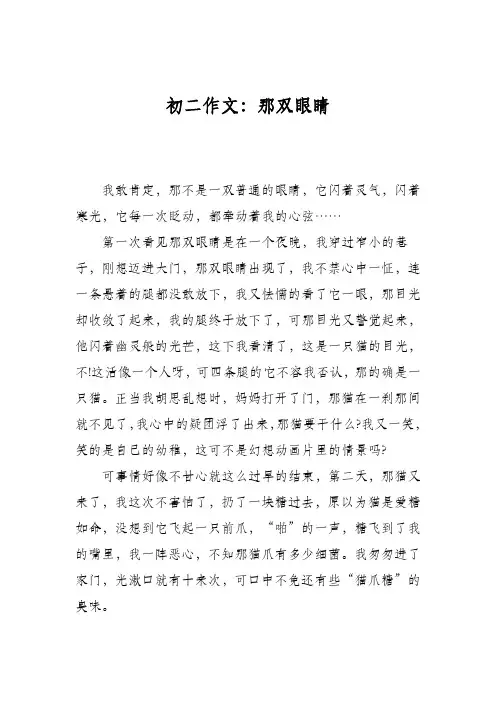 初二作文：那双眼睛