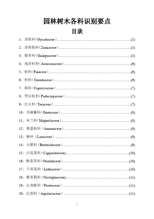 园林植物常见科识别要点