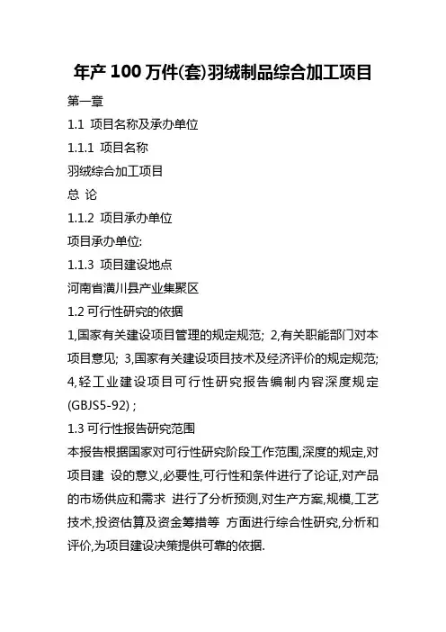 可行性研究报告