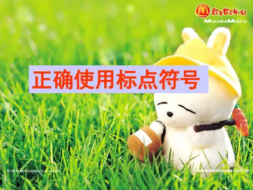 正确使用标点符号(课堂PPT)
