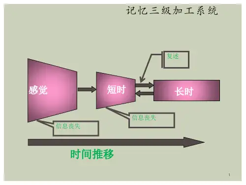 认知心理学长时记忆