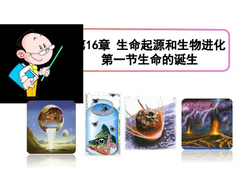 苏教版八年级生物上册第16章第1节生命的诞生课件(23张ppt)