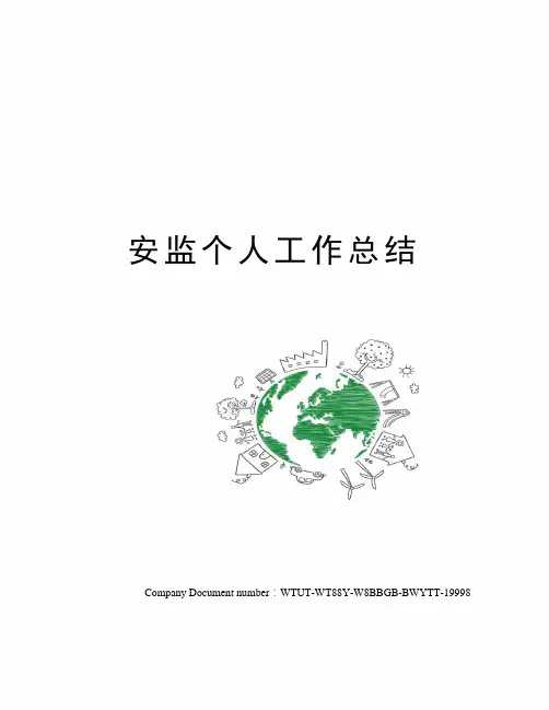安监个人工作总结
