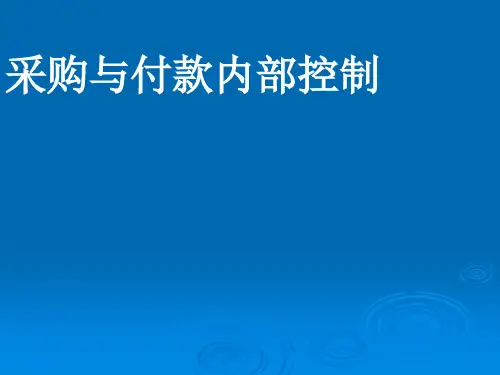 采购与付款内部控制.pptx