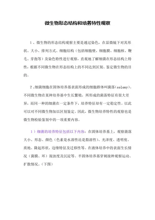 微生物菌落形态描述