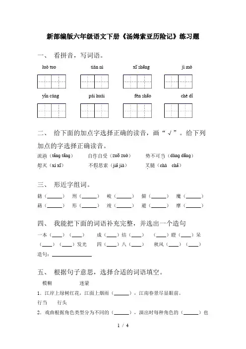 新部编版六年级语文下册《汤姆索亚历险记》练习题