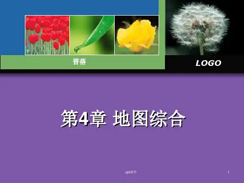 第4章 地图综合  ppt课件