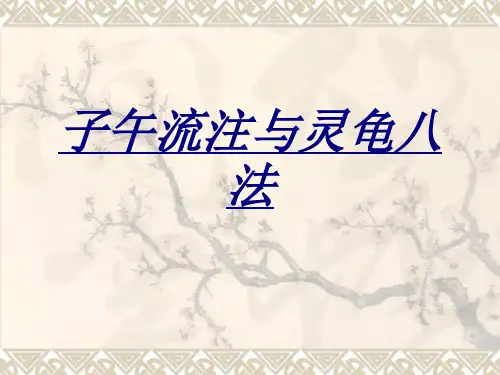 子午流注与灵龟八法讲义