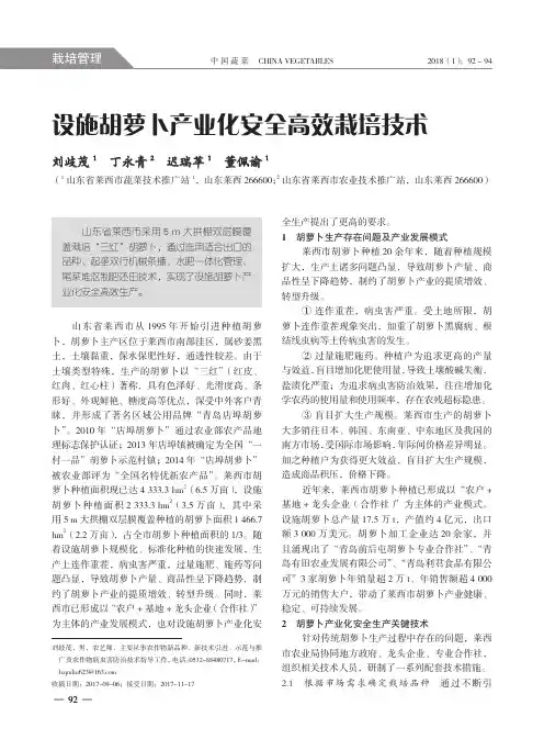 设施胡萝卜产业化安全高效栽培技术