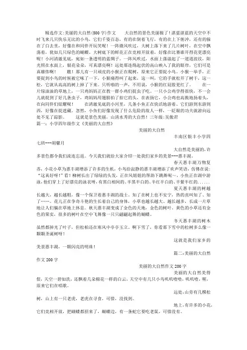 美丽的大自然(500字)作文