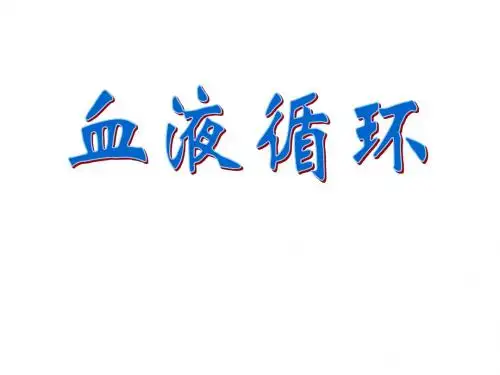 血液循环