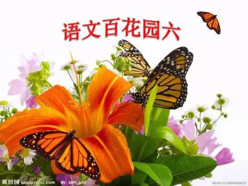 语文S版语文二年级上册《语文百花园六》ppt课件1