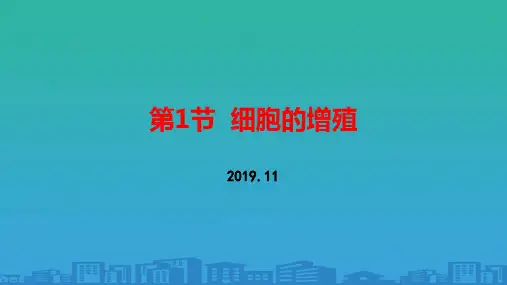 人教高中生物必修一(2019)第6章第1节-细胞的增殖 课件36PPT