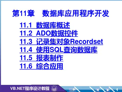 数据库应用程序开发