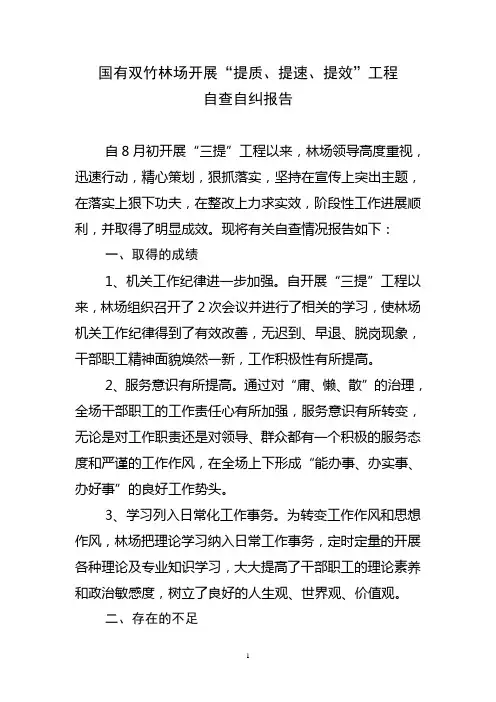 三提工程自查自纠报告