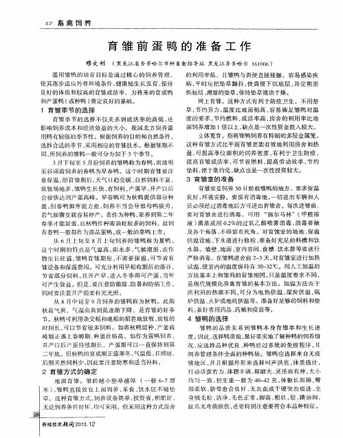 育雏前蛋鸭的准备工作