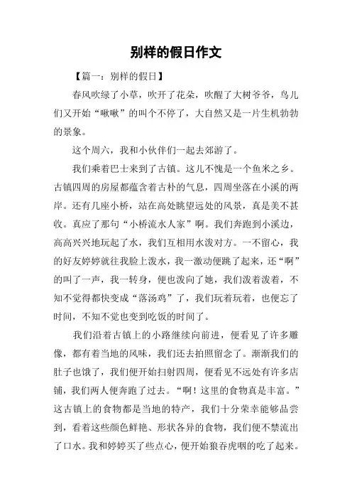 别样的假日作文