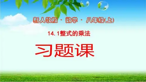 第7课时 整式乘法练习课件