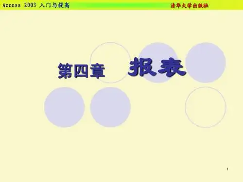 (11)ACCESS2003所有ppt第4章 报表