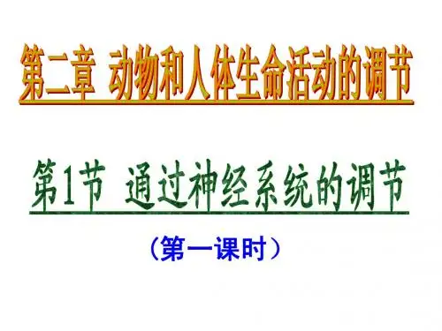 通过神经调节01