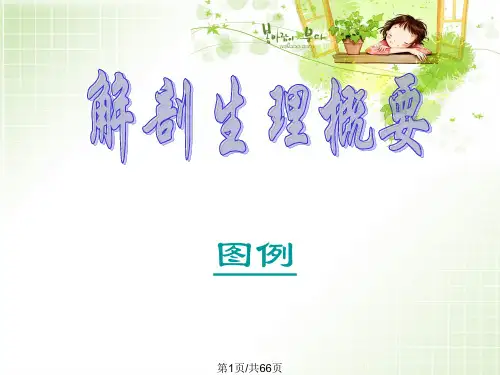 急性腹膜炎与腹部损伤患者护理
