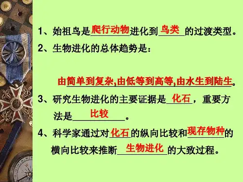 生物进化的原因