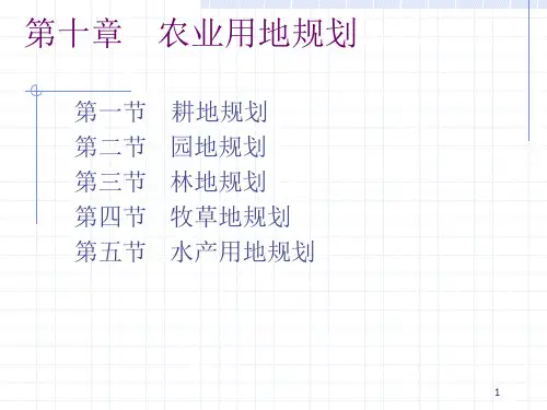 土地利用规划第10章农业用地规划