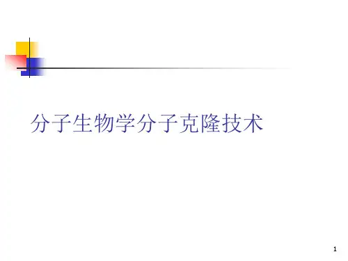 分子生物学分子克隆技术PPT课件