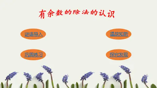 二年级下册数学课件- 《有余数除法的意义》冀教版 (共12张PPT)