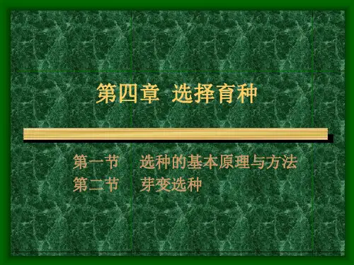 选择育种