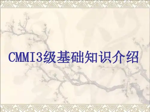 CMMI3_介绍