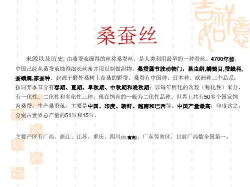 桑蚕丝 zuizhong