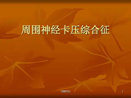 周围神经卡压综合征PPT课件