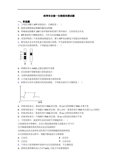 蚌埠市必修一生物期末测试题