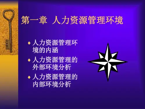 人力资源管理的环境分析