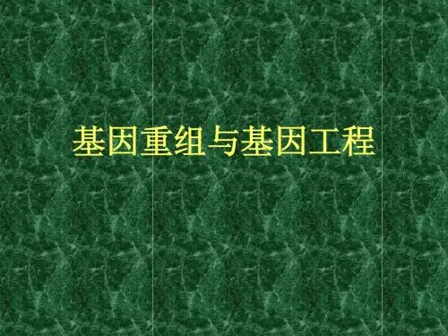 生物化学14.基因工程