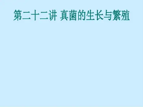 真菌的生长与繁殖28页PPT